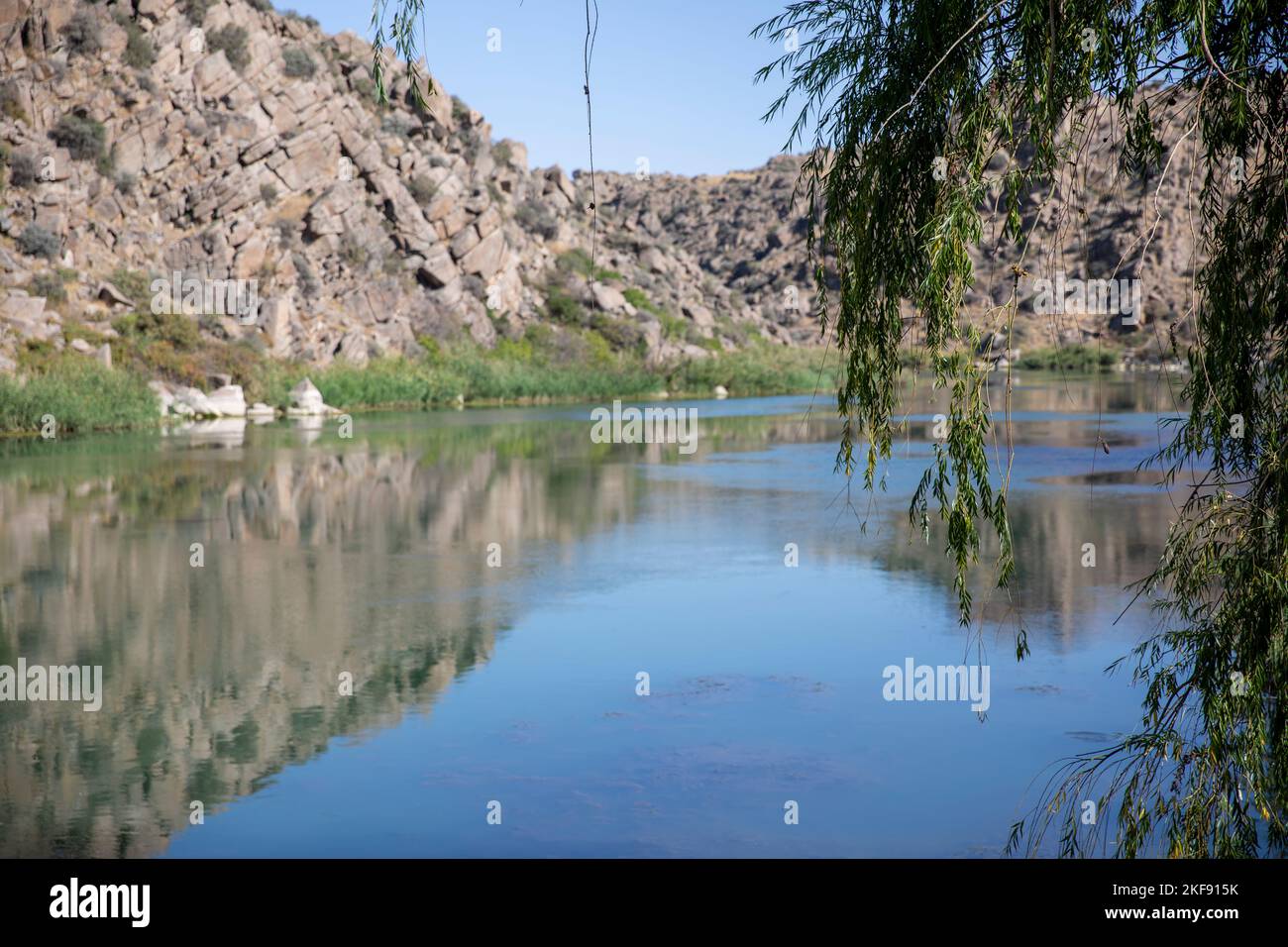 Rivière creek dans la vallée de montagne. Ruisseau d'eau dans la nature Banque D'Images