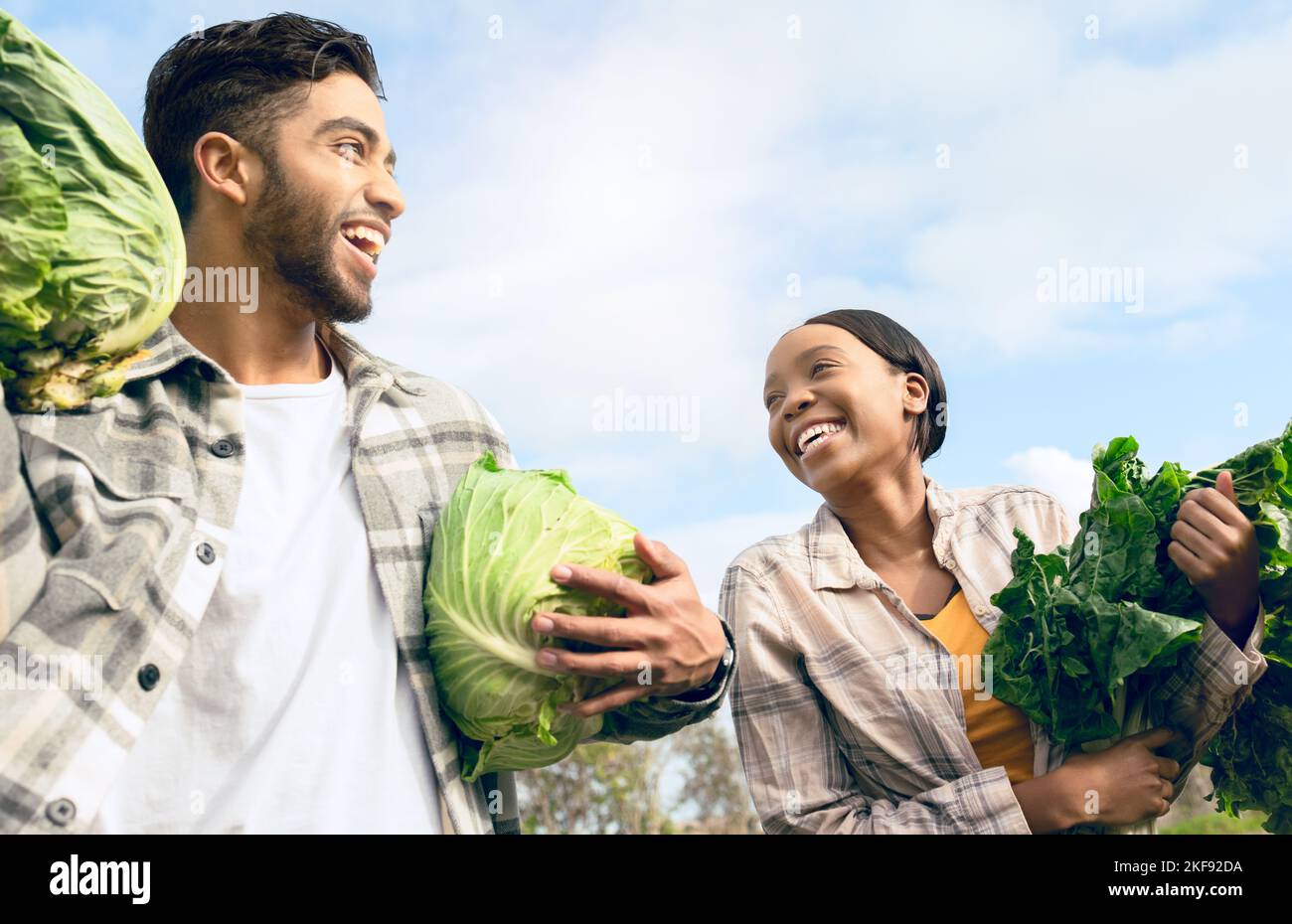Couple, ferme de légumes et fermier heureux, travail d'équipe et agriculture récolte de jardin. Une alimentation saine, la durabilité alimentaire des petites entreprises et les travailleurs Banque D'Images