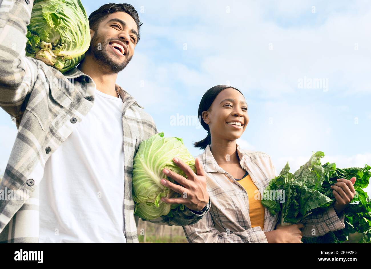 L'agriculture, l'agriculture et le couple avec des légumes verts à l'heure de récolte écologique. Ferme de démarrage, développement durable et croissance dans les petites entreprises pour Banque D'Images