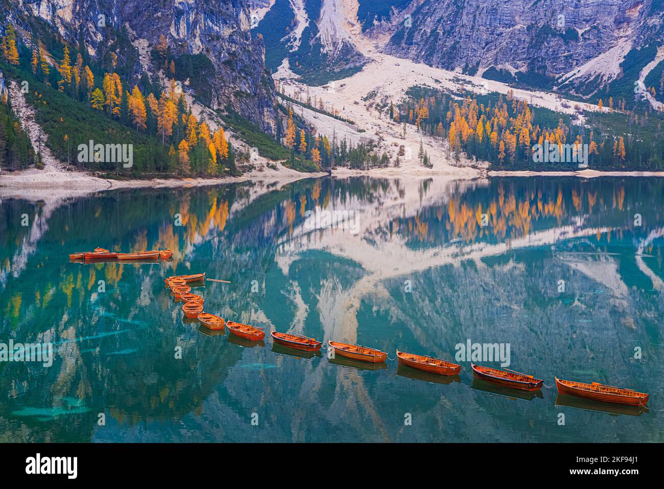 Un matin d'automne paisible avec beaucoup de couleurs d'automne des mélèzes et les célèbres bateaux à Pragser Wildsee (Lago Baies), un lac pittoresque dans Banque D'Images