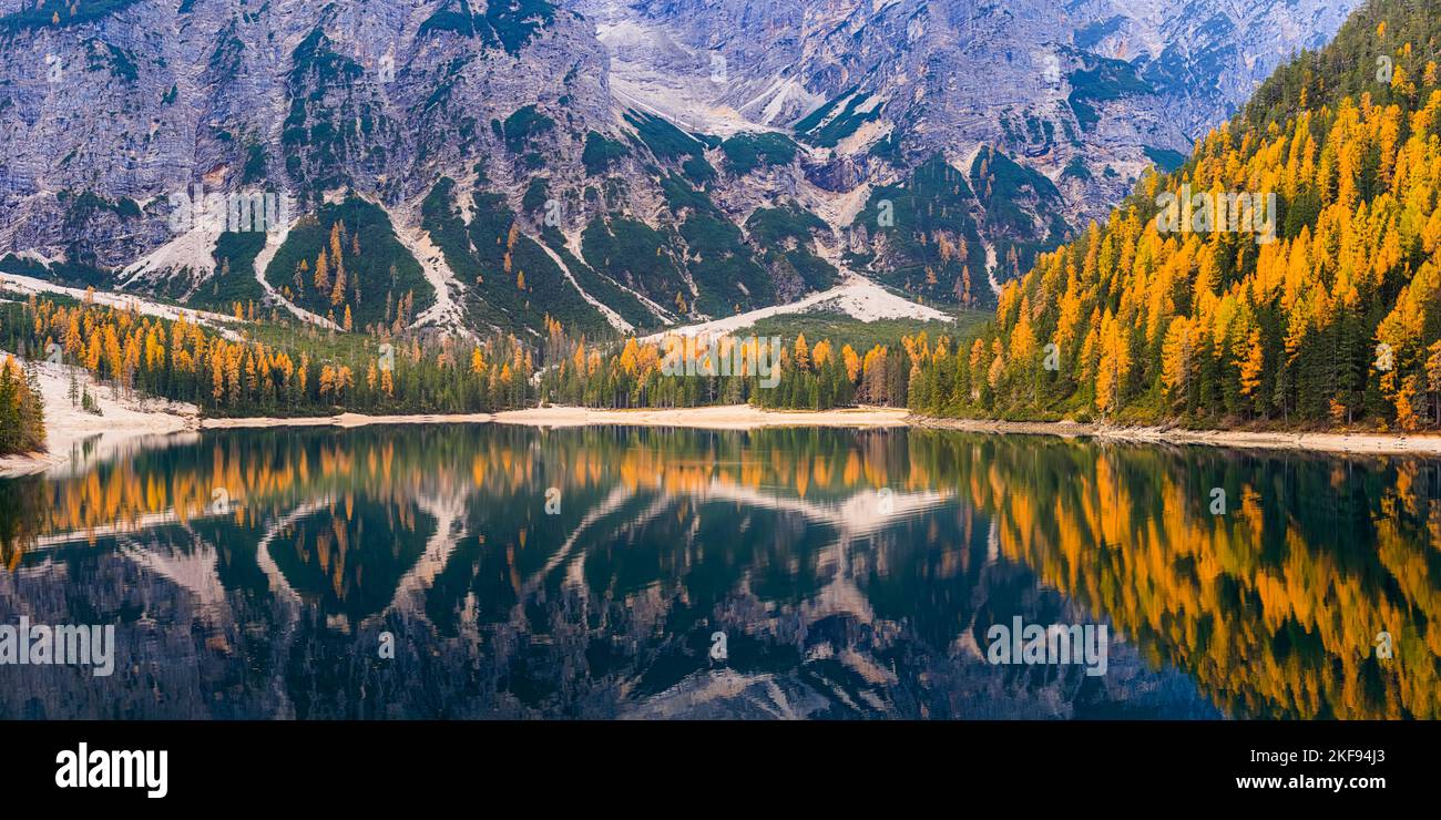 Une large image panoramique 2:1 d'un matin d'automne paisible avec de nombreuses couleurs d'automne des mélèzes à Pragser Wildsee (Lago Baies), une pittoresque Banque D'Images