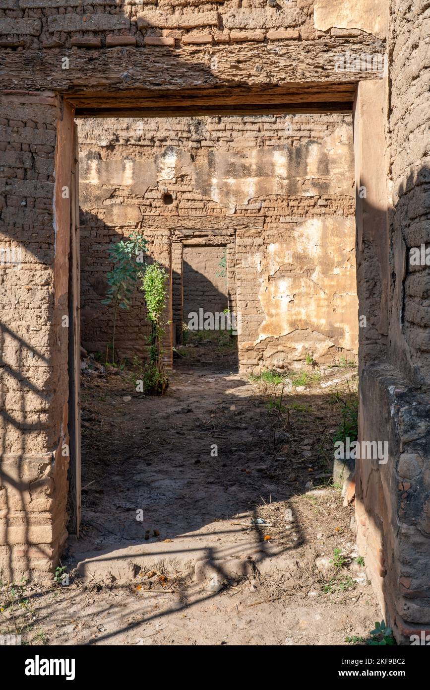 Ruines d'une Hacienda coloniale espagnole construite en 1584 à Xaaga, Oaxaca, Mexique. Ancienne Hacienda de Maria Colon de la Cueva, grande petite-fille du CHRI Banque D'Images