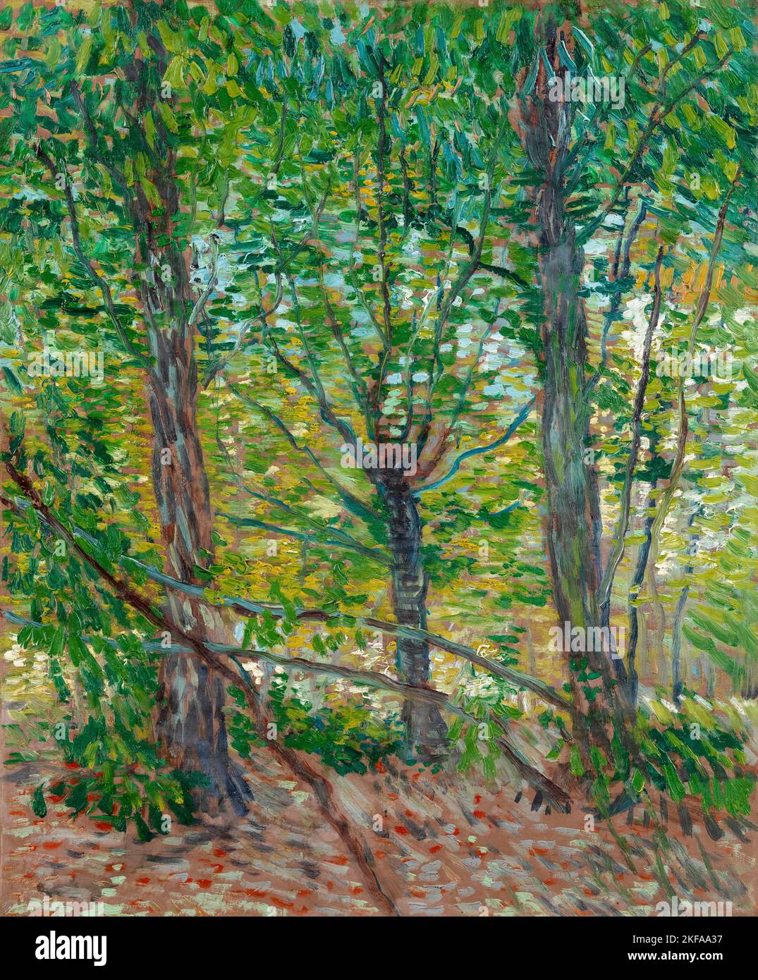 Vincent van Gogh, arbres, peinture à l'huile sur toile, 1887 Banque D'Images