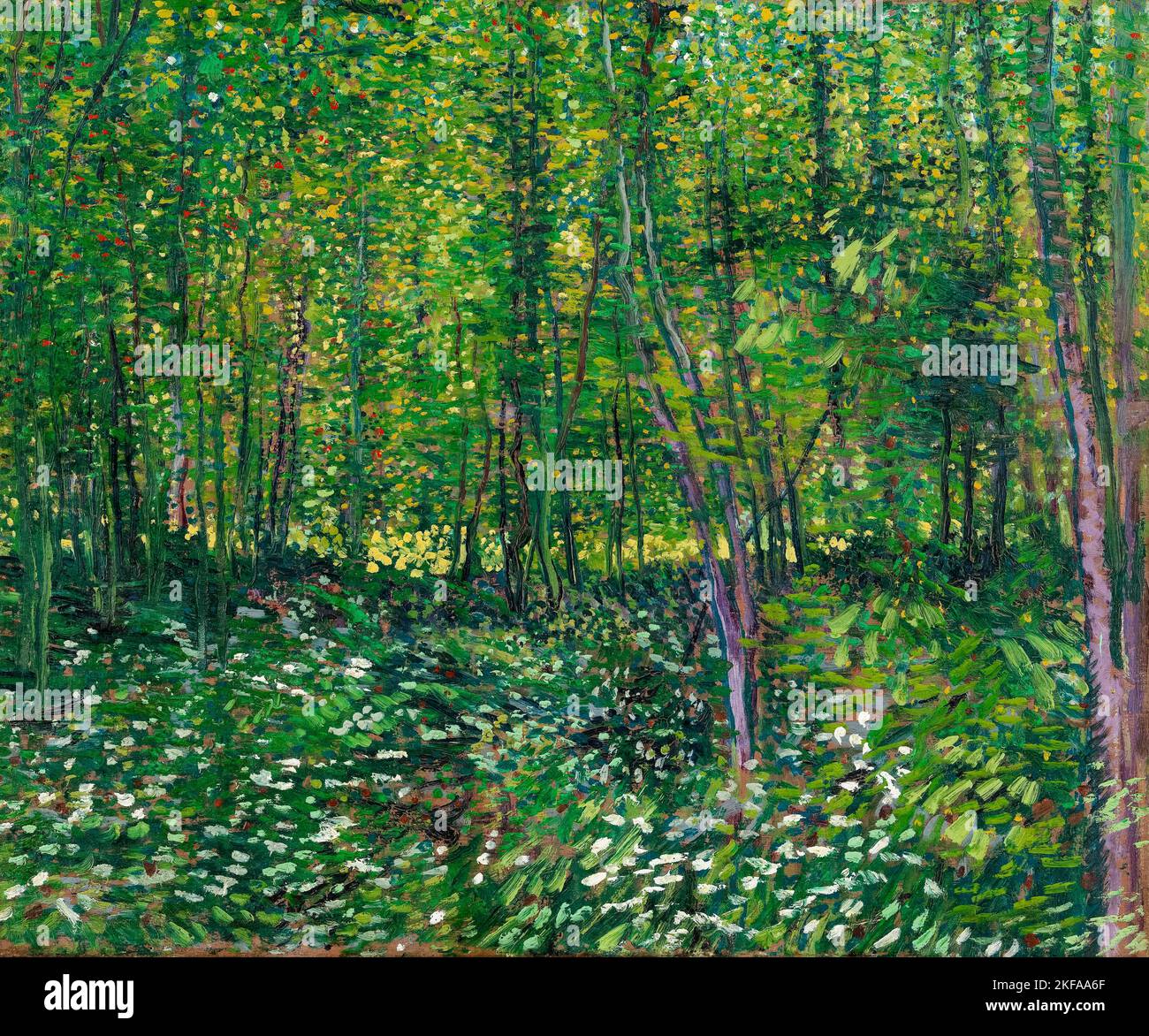 Vincent van Gogh, arbres et sous-bois, peinture à l'huile sur toile, 1887 Banque D'Images