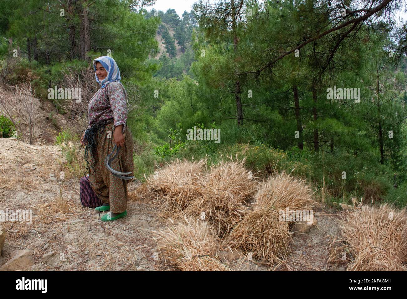 Les femmes paysannes locales avec des scythes récoltant dans les montagnes de Tarsus, province de Mersin, Turquie Banque D'Images