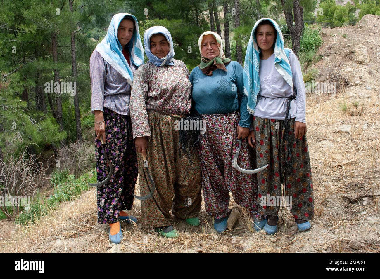 Les femmes paysannes locales avec des scythes récoltant dans les montagnes de Tarsus, province de Mersin, Turquie Banque D'Images