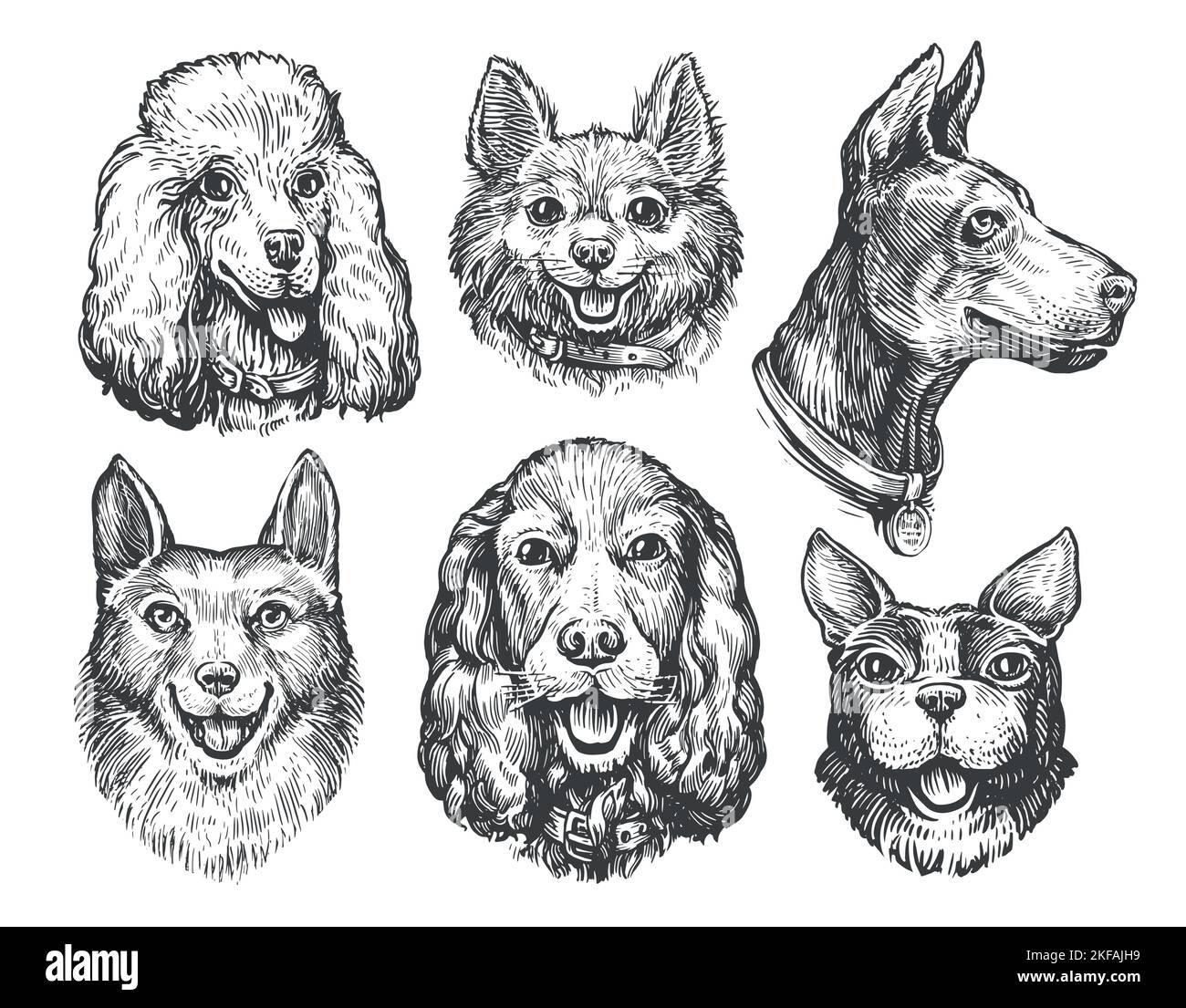 Ensemble avec des visages de chien de différentes races. Collection de portraits de chiens mignons. Animaux, illustrations vectorielles d'esquisse d'animaux Illustration de Vecteur