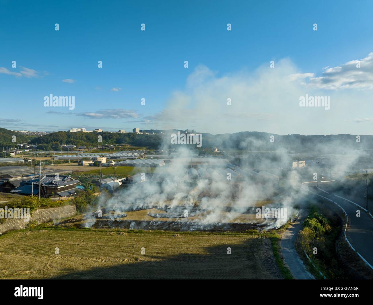 La fumée s'élève de la combustion contrôlée sur le champ de riz après la récolte d'automne Banque D'Images
