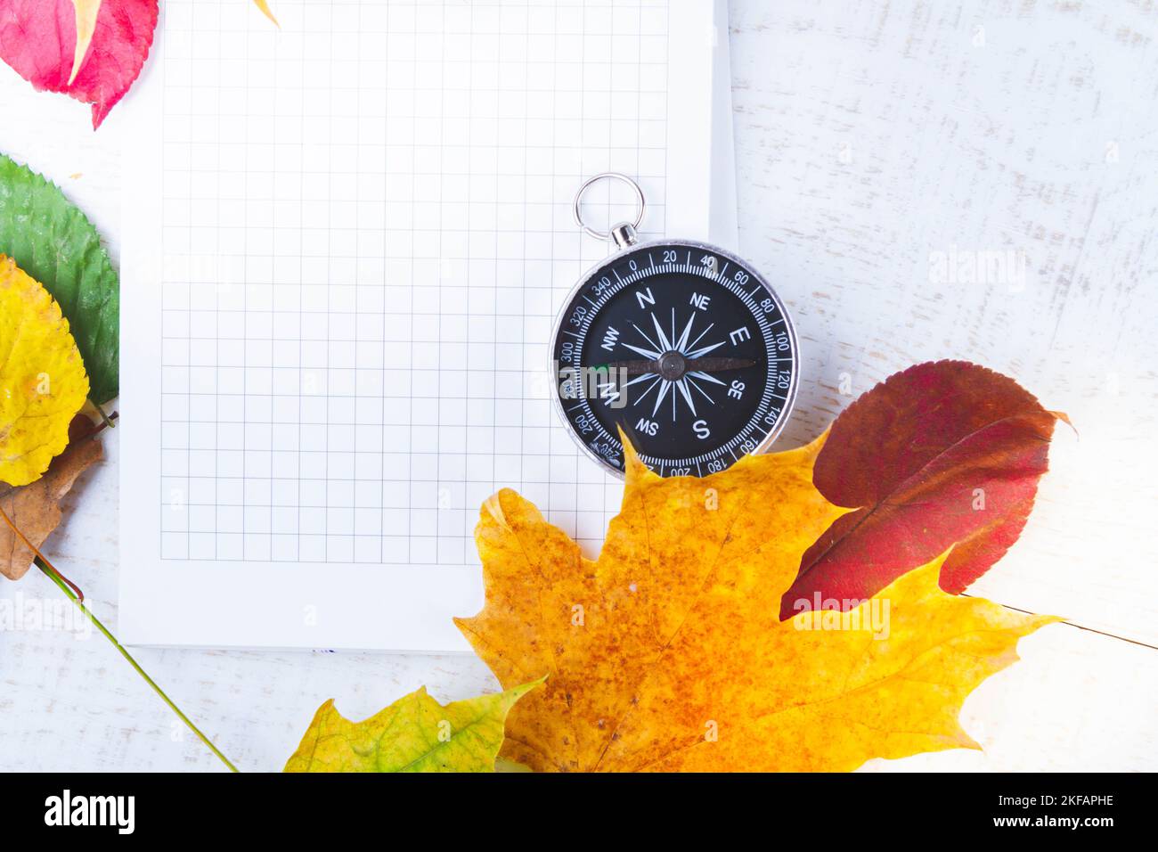 Notes du voyageur. Boussole et bloc-notes pour des notes dans les feuilles d'automne. Banque D'Images