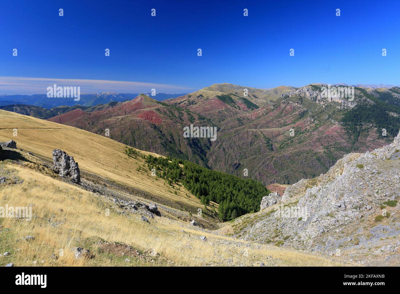 Haute vallée du Cians, Parc régional du Mercantour, Alpes Maritimes, 06, PACA Banque D'Images
