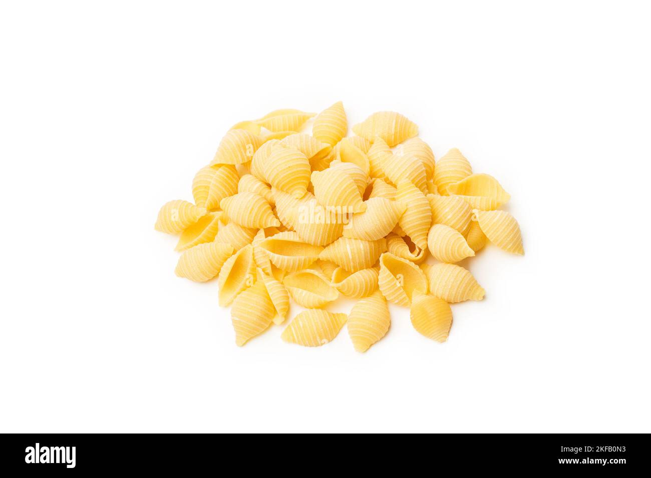 Pâtes Conchiglie isolées sur fond blanc avec espace de copie Banque D'Images
