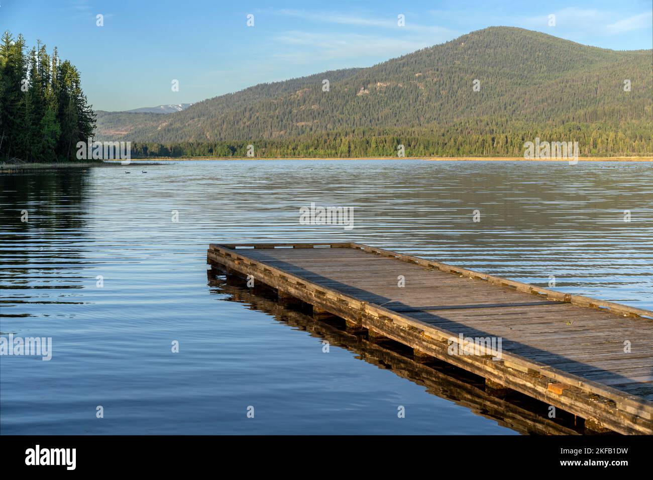 Des activités de plein air et des habitats fauniques coexistent dans le lac McArthur, près de Naples, en Idaho. Banque D'Images