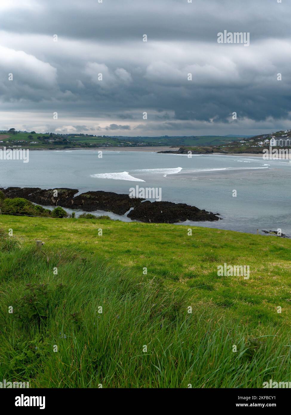 Vue sur la baie de Clonakilty. Herbe épaisse, côte de l'Irlande. Paysage de bord de mer. Temps nuageux. Banque D'Images