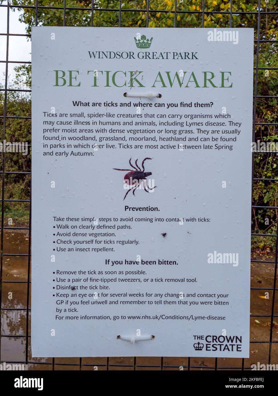 Panneau « soyez conscient de Tick » à l'entrée du parc Great Windsor pendant la saison de rutting à l'automne 2022, Great Windsor Park, Royaume-Uni. Banque D'Images