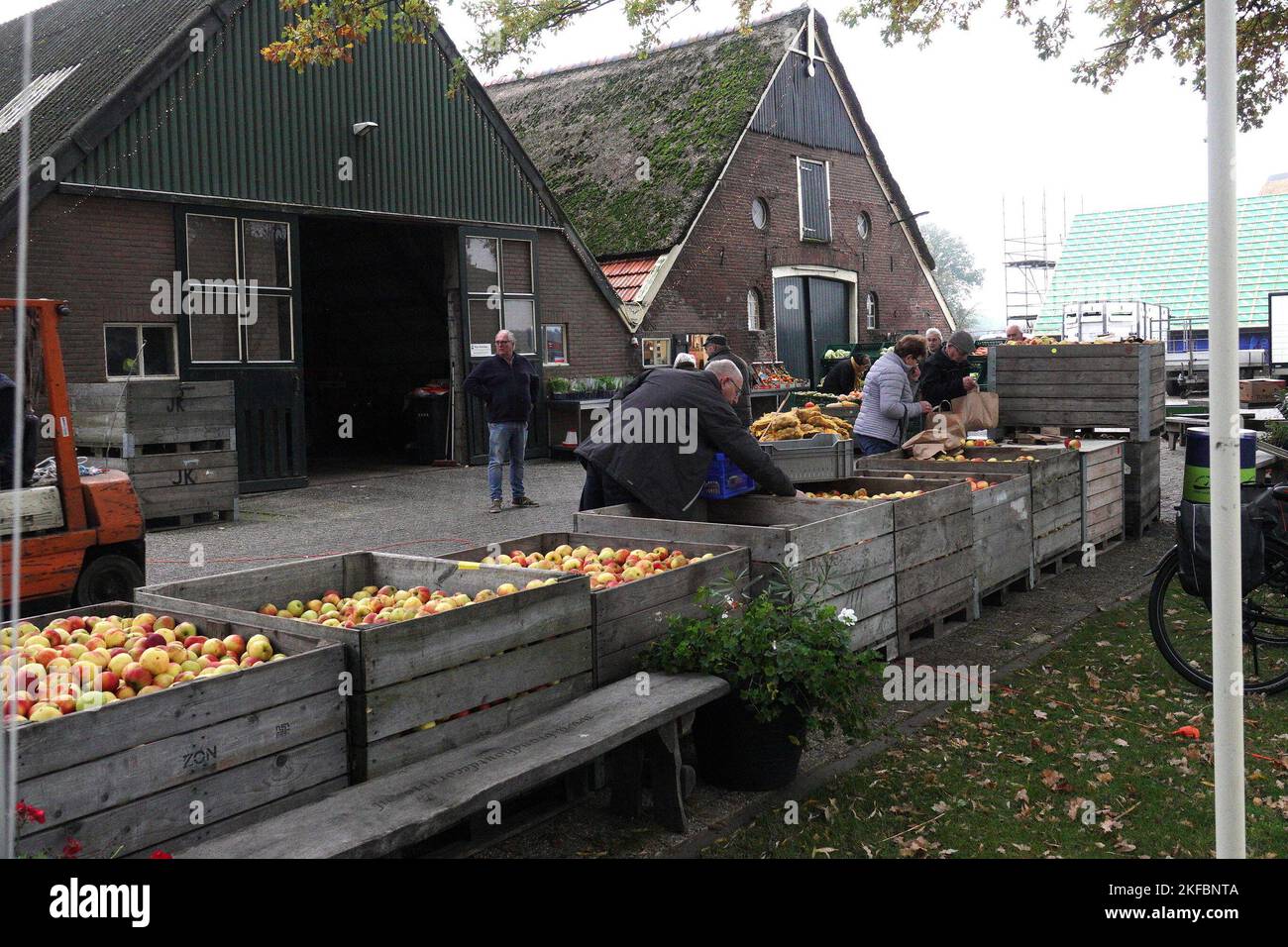 Au magasin de la ferme Ydenhoeve sur la Hofsteeweg à Collendoorn vous pouvez obtenir des pommes à bas prix ces jours-ci. Le propriétaire te Velde a acheté les pommes dans le Betuwe. Pourquoi ces pommes sont-elles si bon marché ? La réponse est la crise énergétique. En raison de la crise énergétique, les producteurs des Betuwe préféreraient laisser les pommes pourrir plutôt que de mettre les fruits dans un réfrigérateur. Les prix de l'énergie sont si élevés que Ça n’en vaut pas la peine. Une honte, dit te Velde. Et c'est pourquoi l'entrepreneur essaie de faire un peu d'argent à partir de lui. Te Velde vend les pommes qu'il a achetées pour 39 centimes d'euro le kilo. Tandis que les pommes dans le magasin coûtent environ deux euros p Banque D'Images