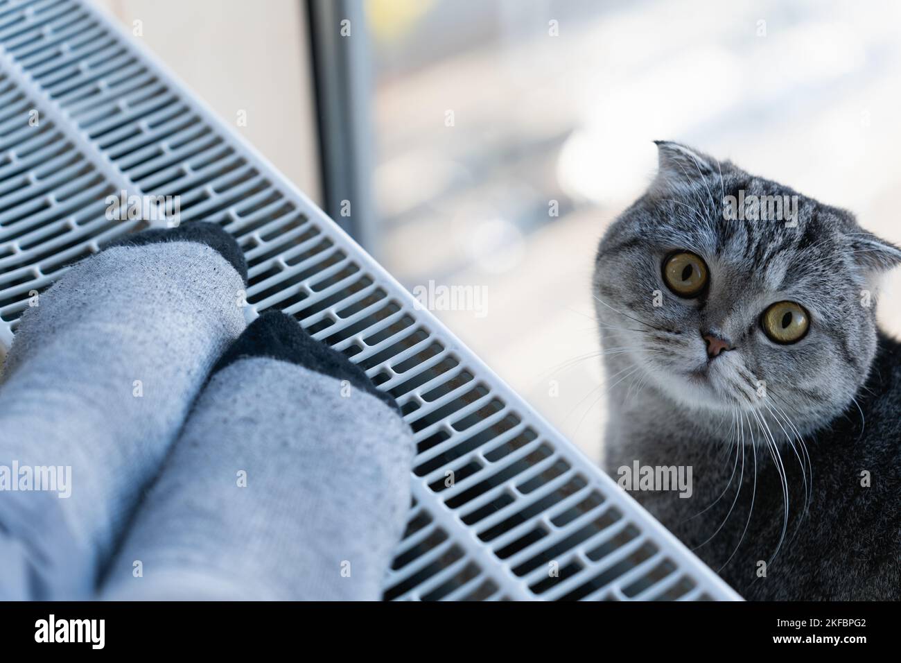 Une personne réchauffe ses pieds dans les chaussettes chaudes de la maison sur le radiateur de chauffage. Le chat se trouve à côté de vous et regarde le propriétaire Banque D'Images