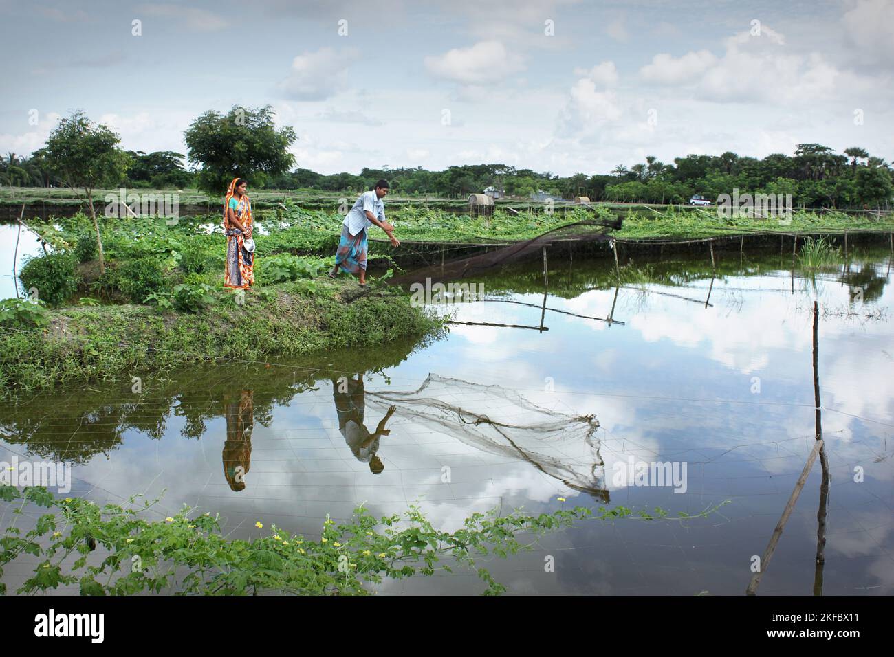 Une plantation de légumes le long d'un ruisseau. Bangladesh. Banque D'Images