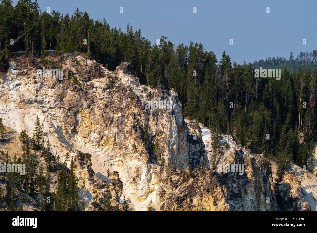 Détail du Grand Canyon du Yellowstone depuis Artist point ; Parc national de Yellowstone ; Wyoming, États-Unis. Banque D'Images