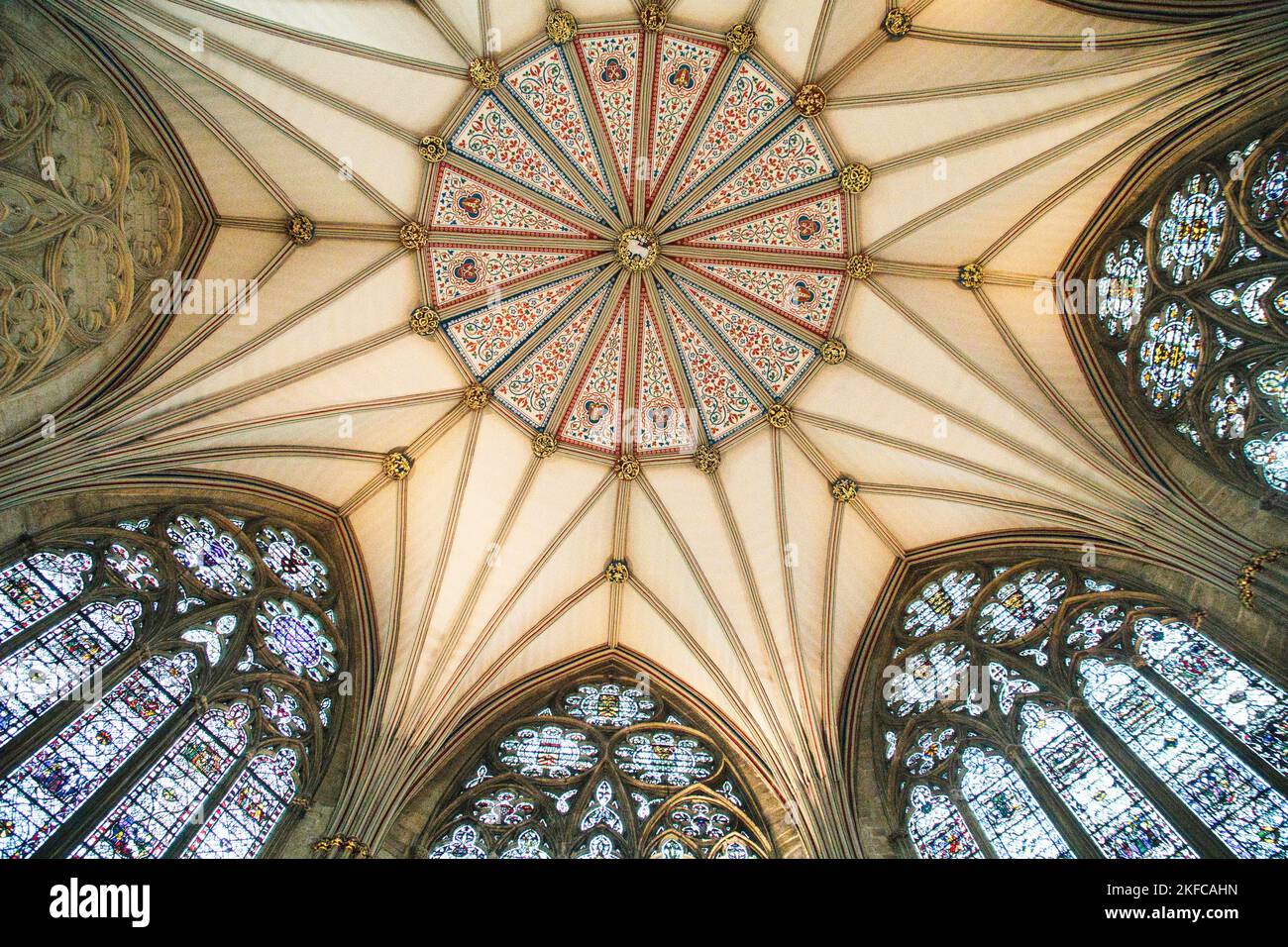 Ventilateur - plafond voûté de la Maison du Chapitre, York Minster, North Yorkshire, Angleterre Banque D'Images
