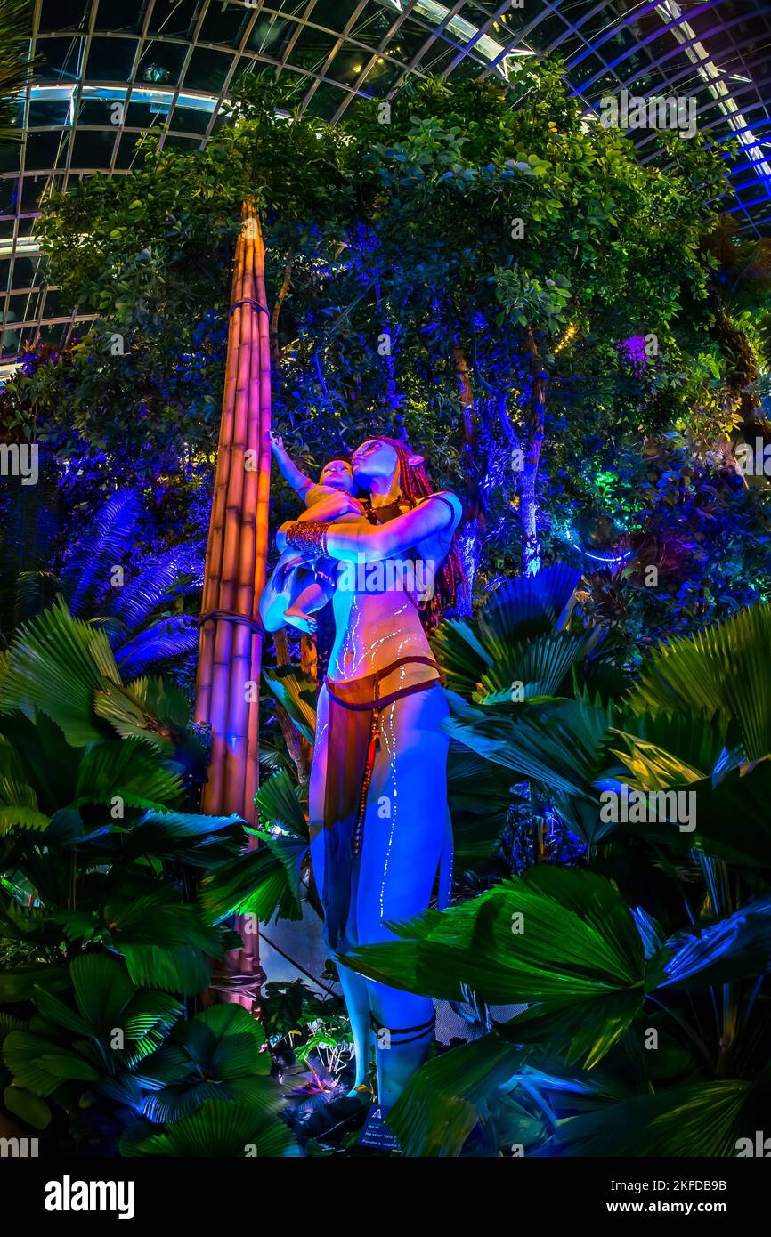 Avatar - l'expérience à Clouds Forest, Gardens by the Bay, Singapour. Banque D'Images