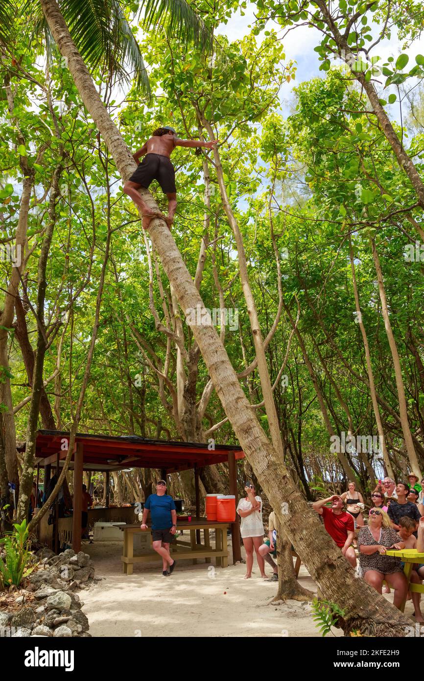 Un homme polynésien qui fait la démonstration de l'escalade de la noix de coco pour un groupe de touristes sur l'île de Rarotonga, îles Cook Banque D'Images