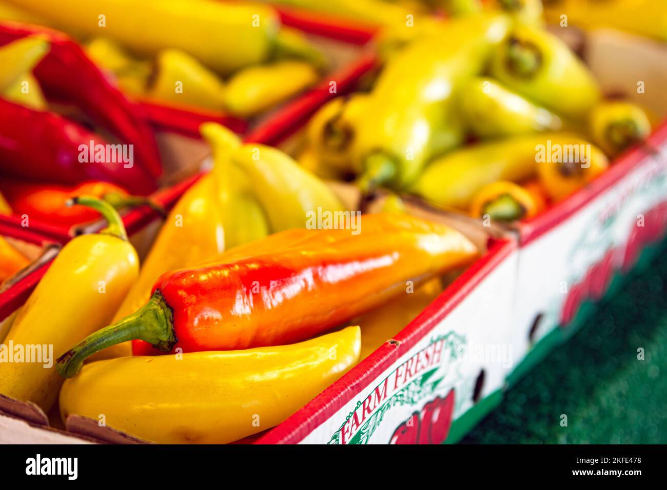 Cire hongroise fraîche ou poivrons de banane exposés pour la vente sur un marché agricole. Banque D'Images