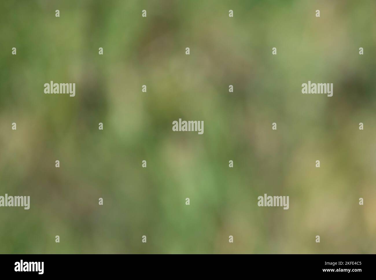 Arrière-plan bokeh flou vert et marron avec des couleurs trouvées dans la nature. Banque D'Images