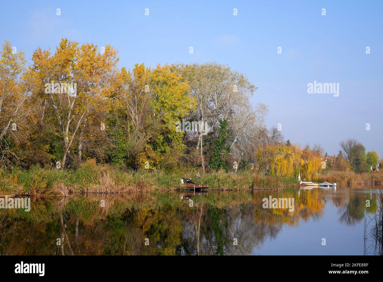 Couleurs d'automne sur le Danube, Szigetszentmiklos, île de Csepel, Hongrie Banque D'Images