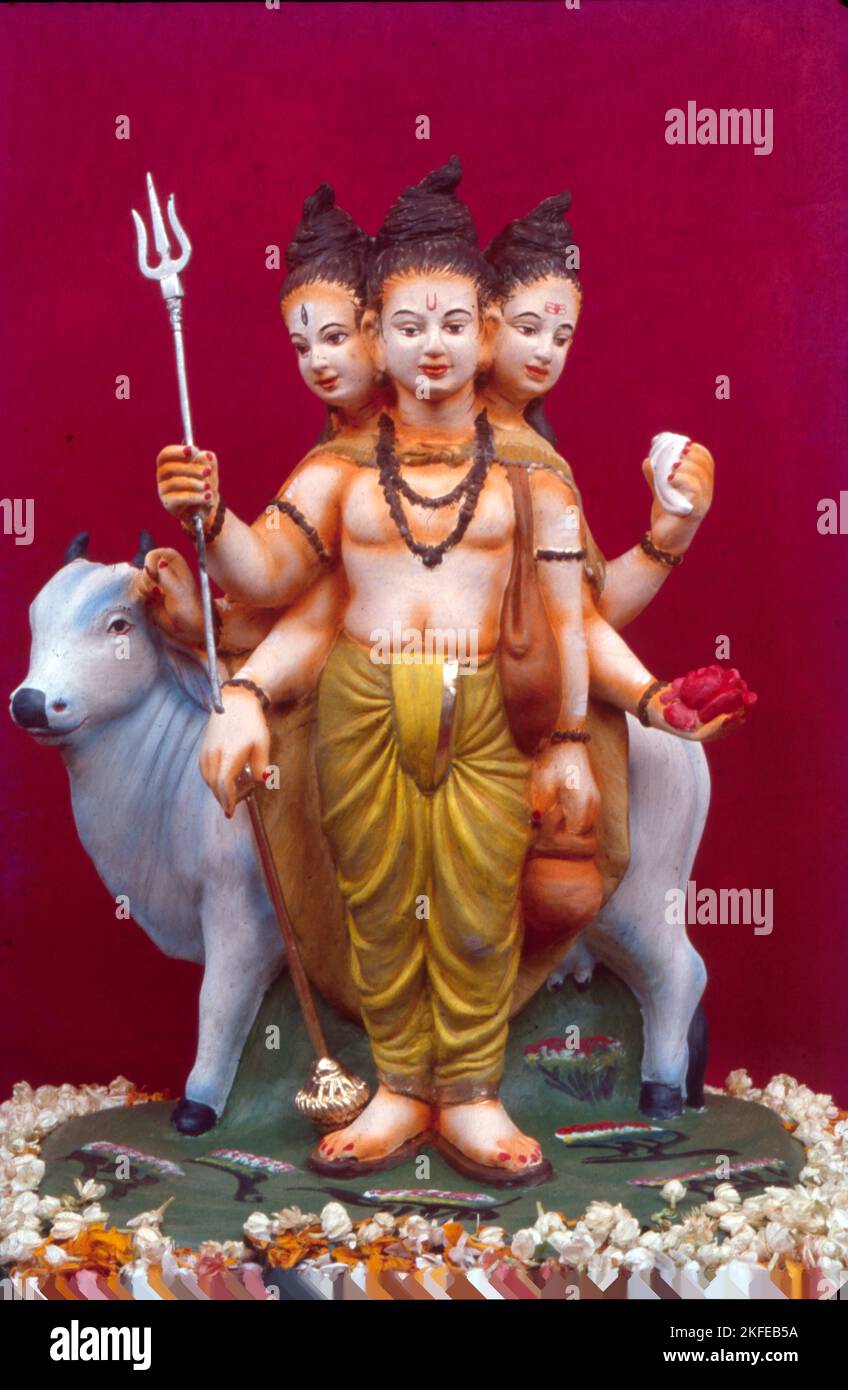 Dattatreya est le Dieu qui est une incarnation de la Divine Trinité Brahma, Vishnu et Siva. Le mot Datta signifie "donné", Datta est appelé ainsi parce que la Trinité divine se "donné" sous la forme d'un fils au couple de sauge Guru Atri et Mata Anusuya. Il est le fils de Guru Atri, d'où le nom d'Atreya. Banque D'Images