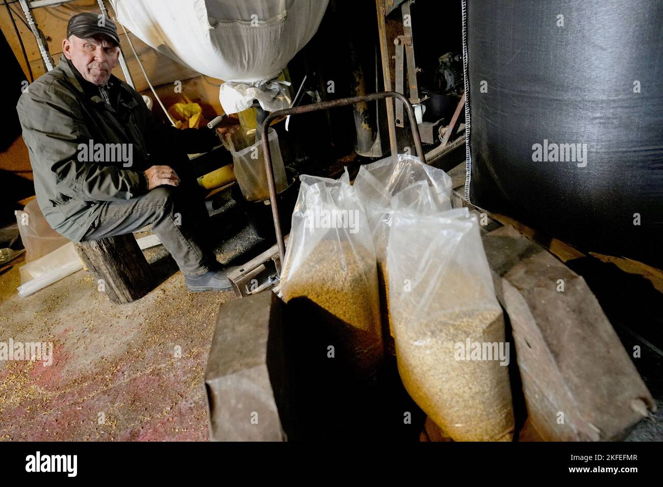 L'agriculteur lituanien Petras Vaitelis prépare des céréales d'avoine et de blé pour chauffer sa maison à Azuolaiciai, Lituanie 14 novembre 2022. REUTERS/Ints Kalnins Banque D'Images