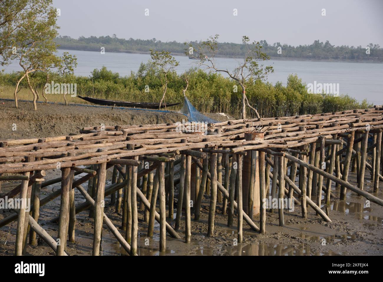 Jetée en bambou, Pakhiralay, Gosaba, Sunderban, 24 Pargana, Bengale-Occidental, Inde Banque D'Images