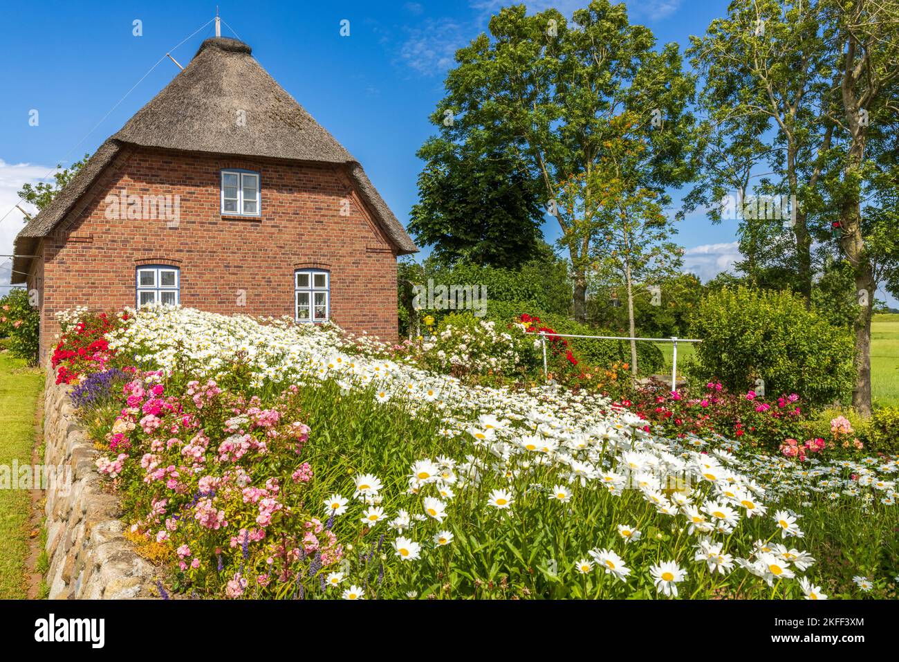 Friesenhaus mit Blumengarten en Angleterre, Insel Nordstrand, Nordfriesland, Schleswig-Holstein, Allemagne Banque D'Images