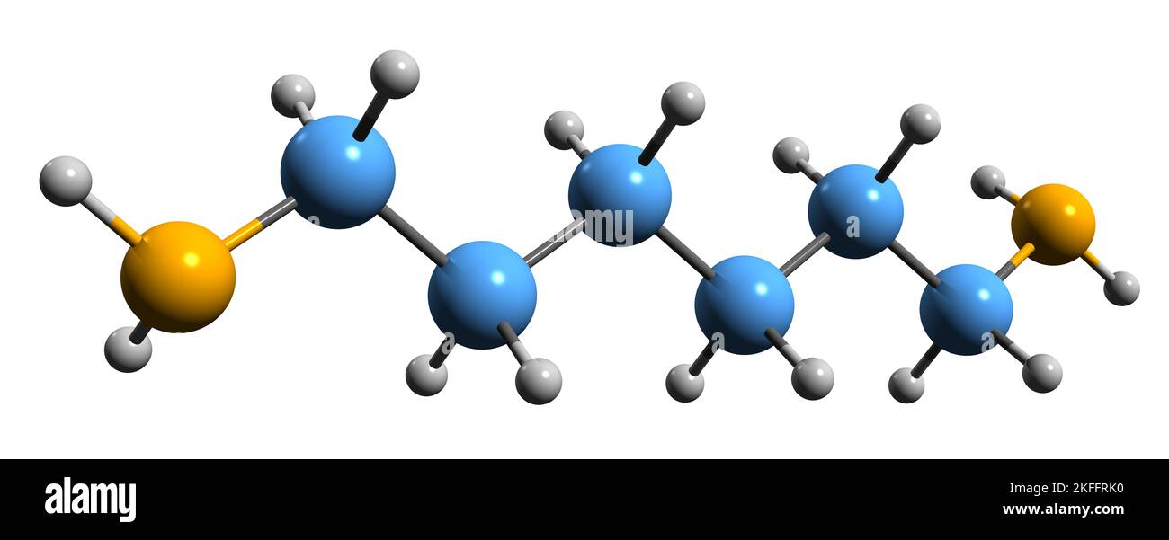 3D image de la formule squelettique de l'hexaméthylènediamine - structure chimique moléculaire du Diaminohexane isolé sur fond blanc Banque D'Images