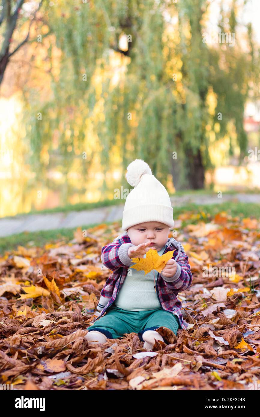 Un petit garçon mignon s'amuser à l'extérieur dans le parc en automne Banque D'Images