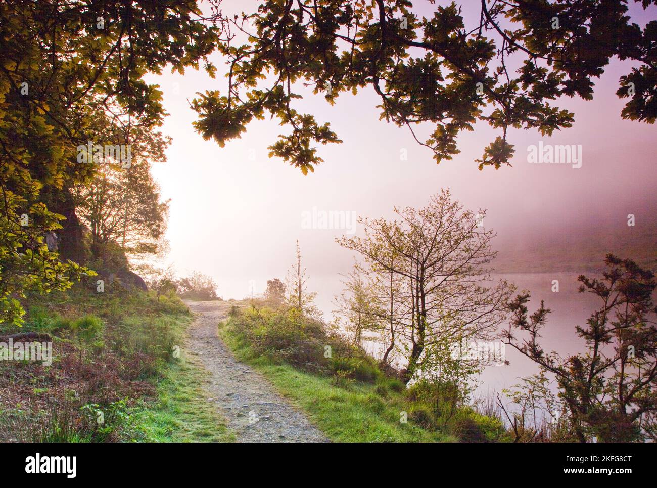 Dawn brumeux à l'angle sud-est du lac Llyn Dinas, dans le parc national Nantgwynant Valley Snowdonia Gwynedd North Wales UK, fin du printemps. Banque D'Images