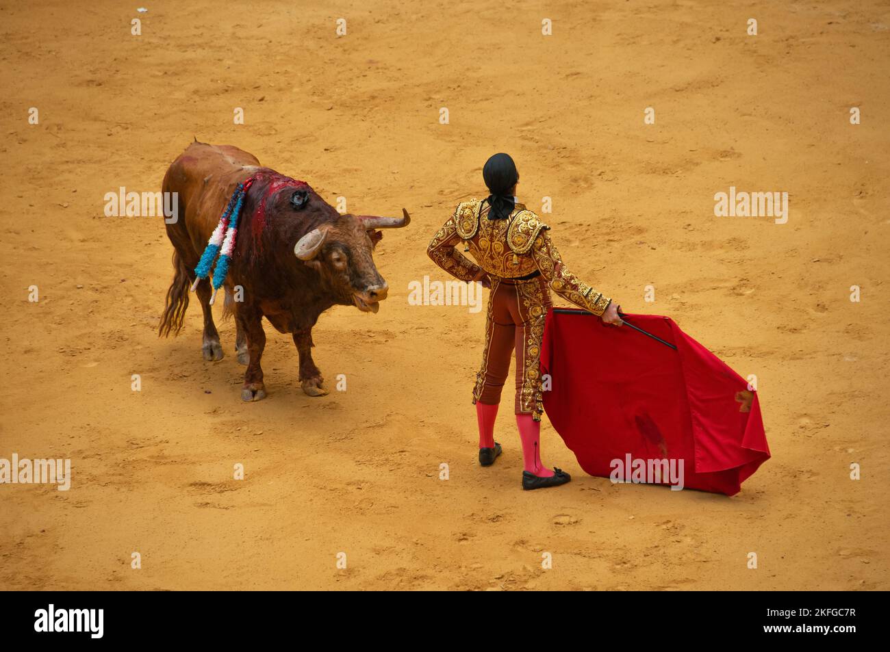 La traditionnelle corrida espagnole, pays basque, Espagne Banque D'Images