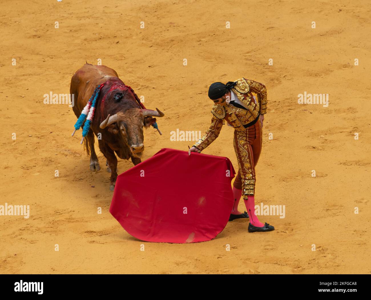 La traditionnelle corrida espagnole, pays basque, Espagne Banque D'Images