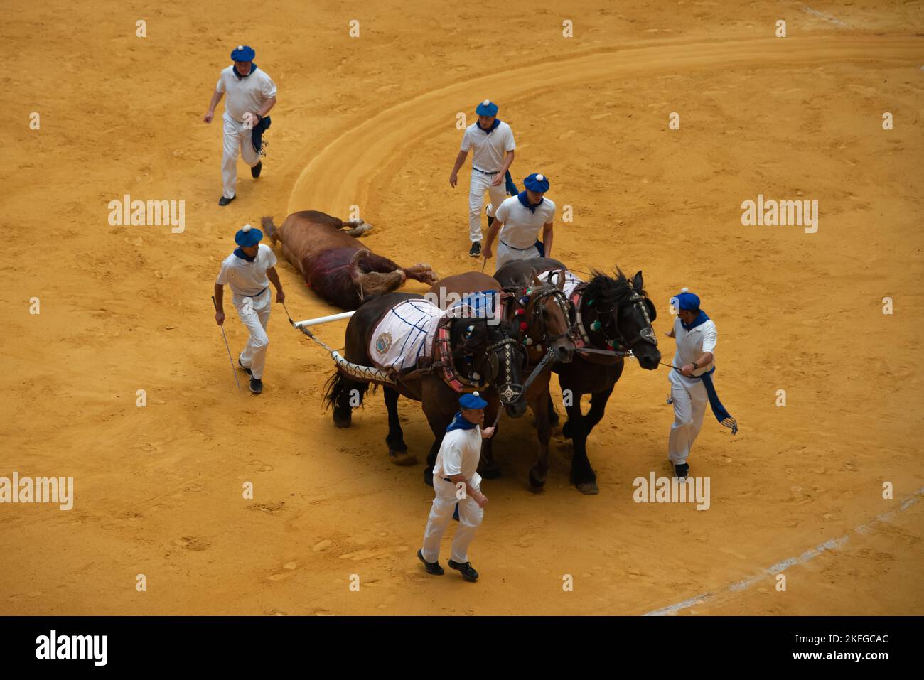 La traditionnelle corrida espagnole, pays basque, Espagne Banque D'Images