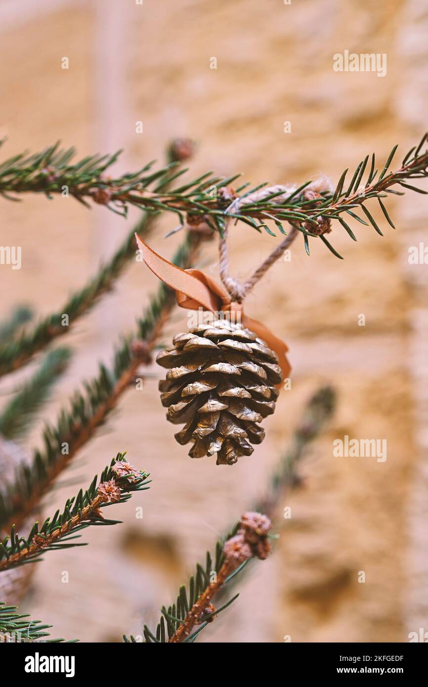 Un cône en pin naturel avec un ruban doré est suspendu sur la branche de l'arbre de Noël comme décoration. Bricolage, Noël sans gaspillage et cyclisme Banque D'Images