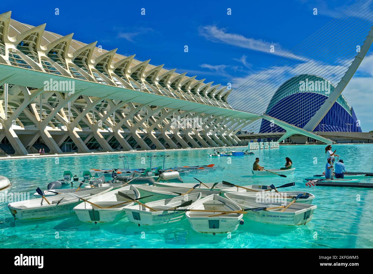 Le Musée des Sciences de la Cité des Arts et des Sciences avec étang de navigation à Valence, province de Valence, Espagne. Banque D'Images