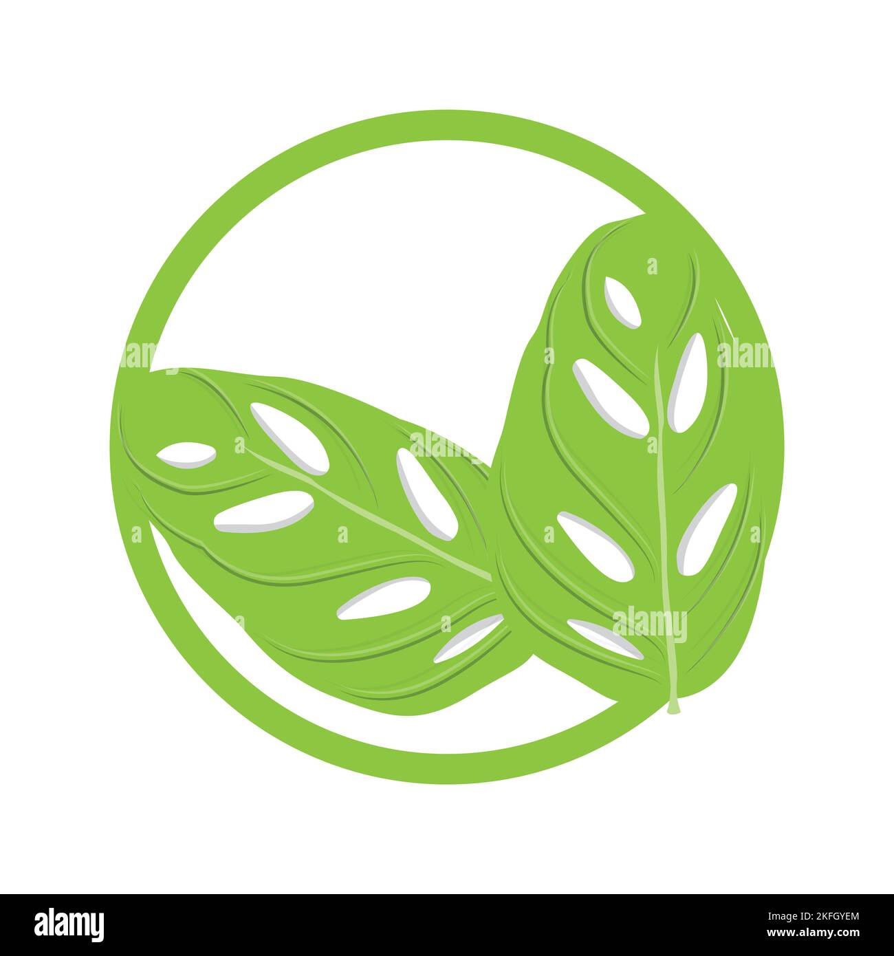 Monstera adansonii logo feuille, vecteur plante verte, vecteur arbre, illustration feuille rare Illustration de Vecteur