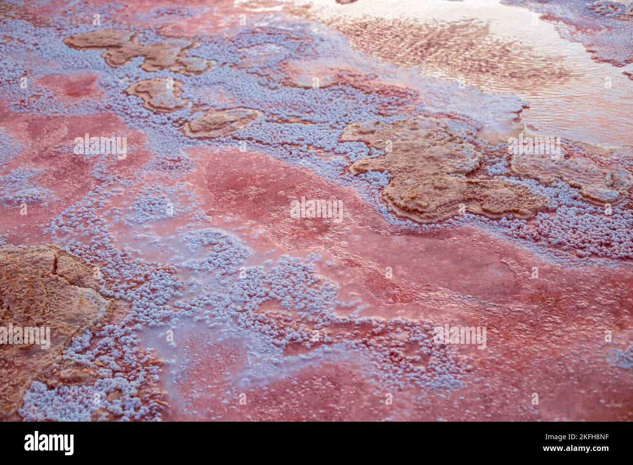 Sahara, Lac de sel, Tunisie.Sel gros plan dans le désert de sel Banque D'Images