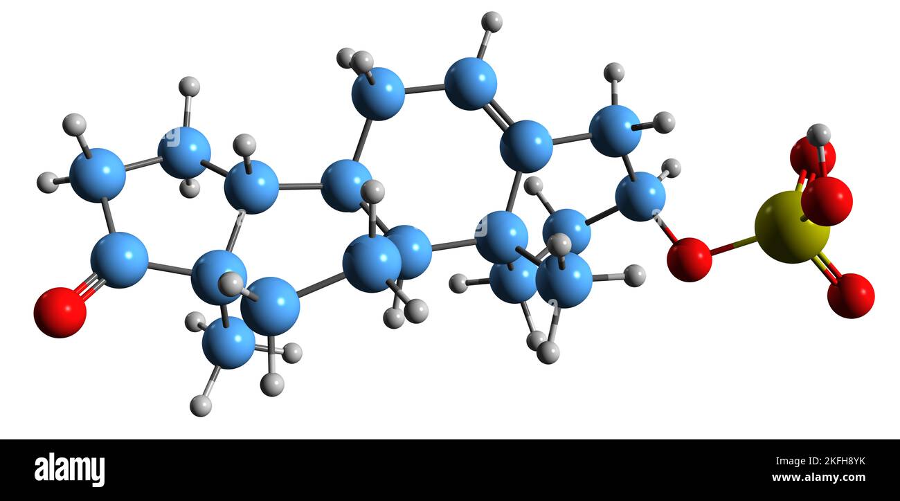 3D image de la formule squelettique du sulfate de Dehydroépiandrostérone - structure chimique moléculaire du stéroïde androstane endogène isolé sur le bacro blanc Banque D'Images