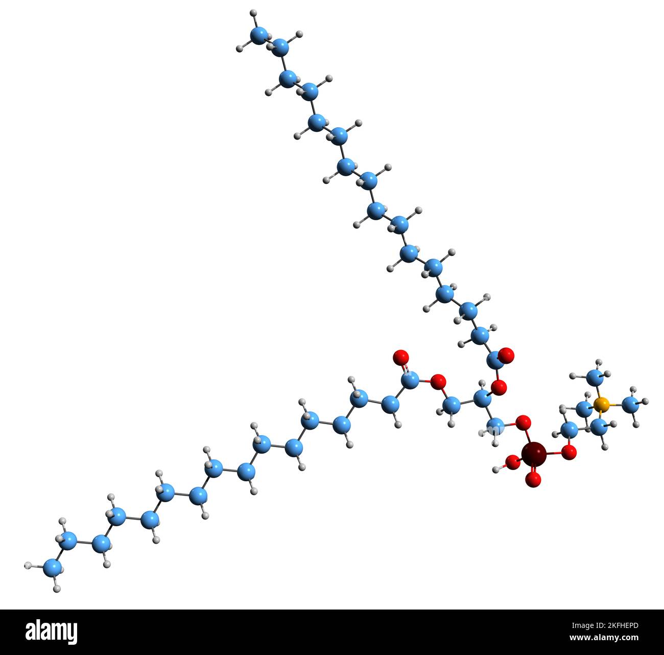 3D image de la formule squelettique de la dipalmitoylphosphatidylcholine - structure chimique moléculaire du phospholipide DPPC isolé sur fond blanc Banque D'Images