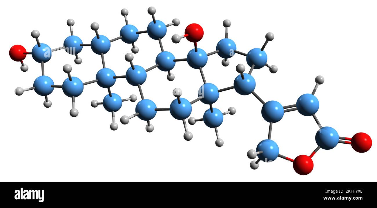 3D image de la formule squelettique de Cardenolide - structure chimique moléculaire du glycoside de stéroïdes isolé sur fond blanc Banque D'Images