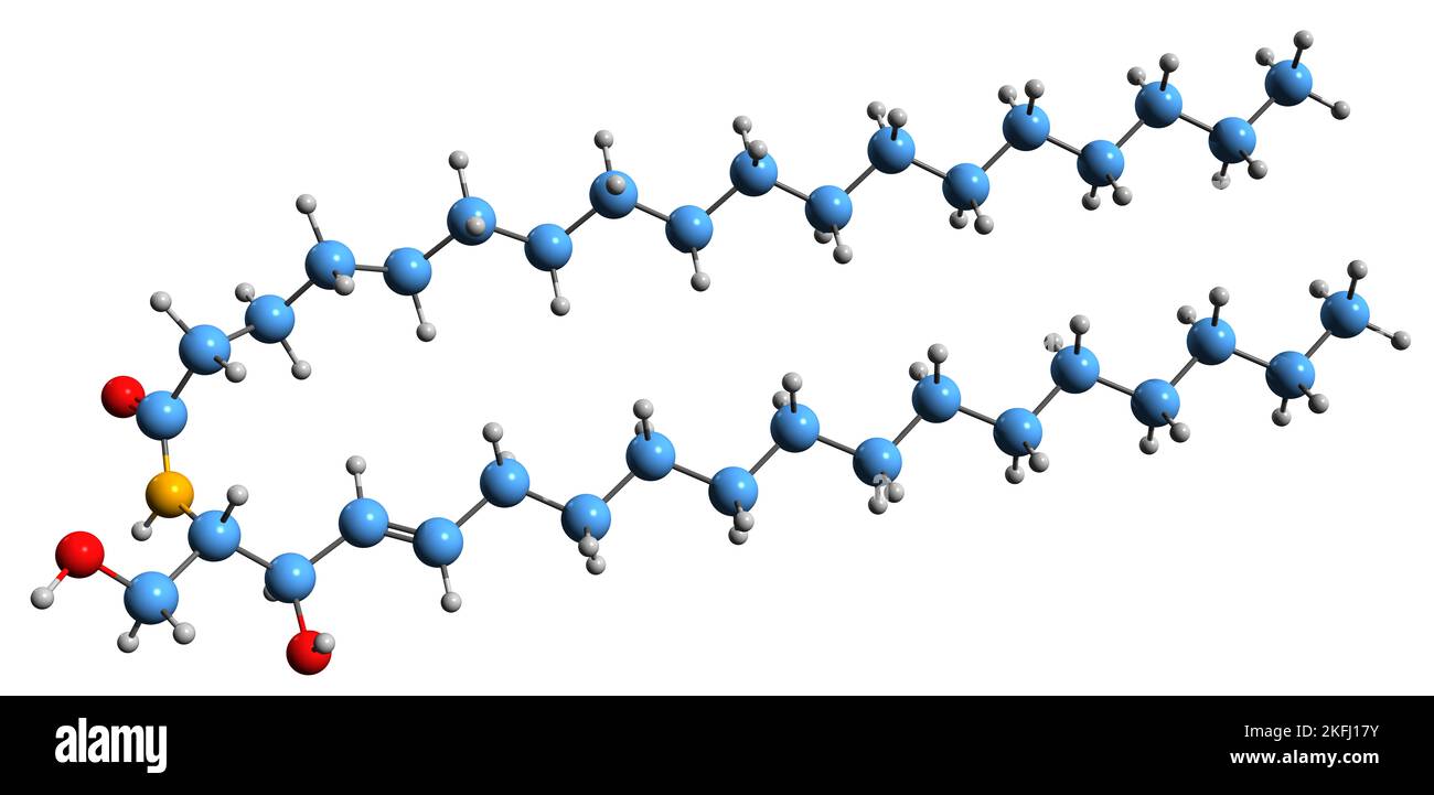 3D image de la formule squelettique Ceramide - structure chimique moléculaire de l'échantillon de molécule lipidique cireuse isolé sur fond blanc Banque D'Images