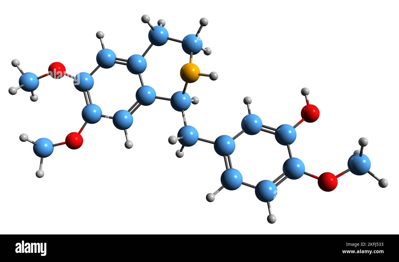 3D image de la formule squelettique Laudanin - structure chimique moléculaire de l'opiacé isolé sur fond blanc Banque D'Images