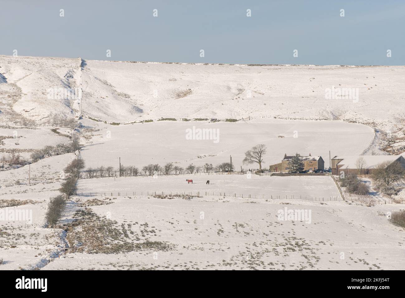 Superbe scène de neige. Des collines enneigées avec des chevaux dans les champs portant des manteaux de couleur vive. Ciel bleu vif. Banque D'Images