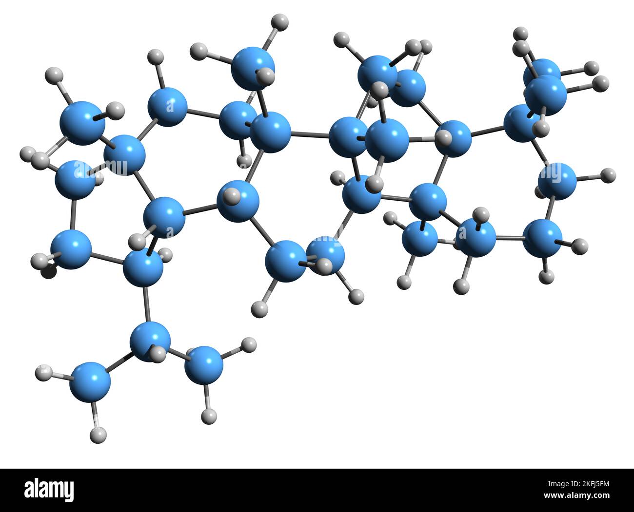 3D image de la formule du squelette de Lupane - structure chimique moléculaire du triterpénoïde pentacyclique isolé sur fond blanc Banque D'Images