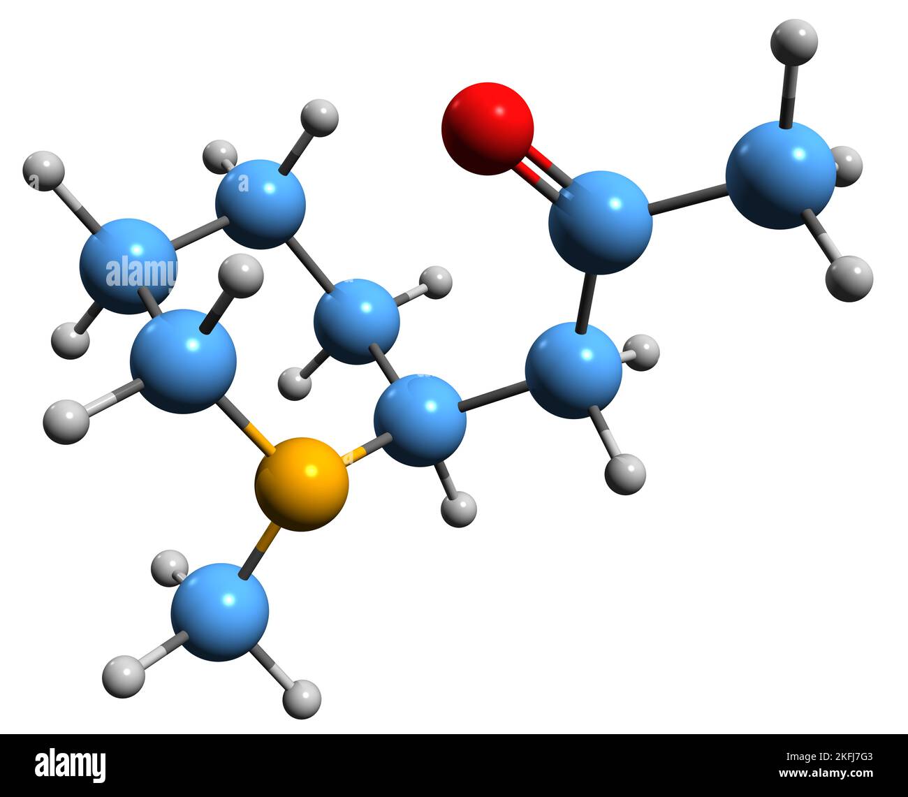 3D image de la formule squelettique de la méthylisopelletierine - structure chimique moléculaire de l'alcaloïde Methylisopunicine isolé sur fond blanc Banque D'Images